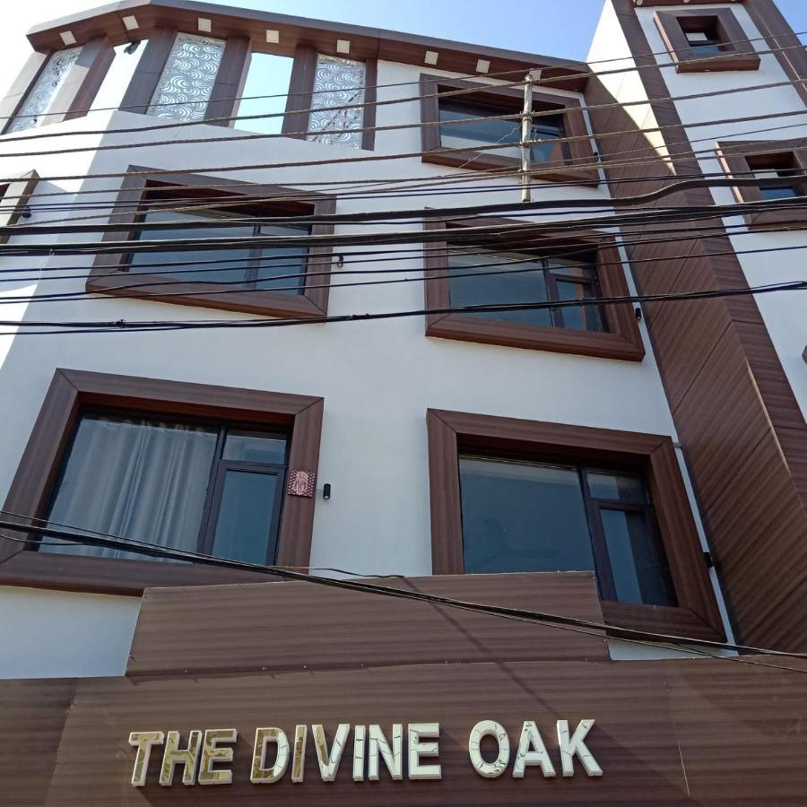 Отель The Divine Oak Катра Экстерьер фото